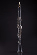 Close-up Of Clarinet