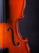 Vintage Violin