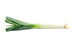 Single isolated Leek