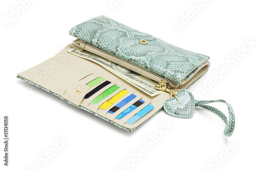 Photo: Snake Skin Wallet Snake Skin Wallet