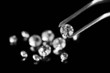 Beautiful shining crystal (diamond) in the tweezers,