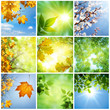 Nature Collage