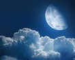 moonlight