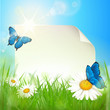 Papier - Blumenwiese, Schmetterlinge