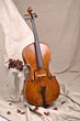 cello in beige background