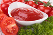tomato sauce, gaspacho, ketchup