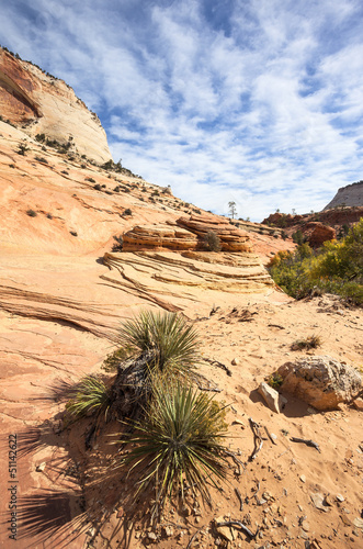 Photo: Famous slopes of Zion canyon Famous slopes of Zion canyon