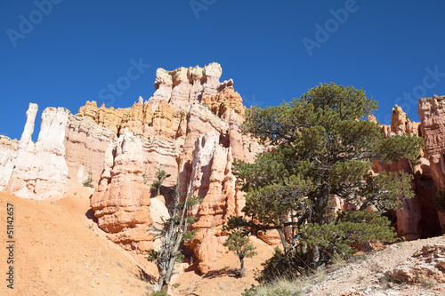 Photo: Navajo Trail in Bryce Canyon Navajo Trail in Bryce Canyon