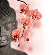 Bouddha Et Orchidée Rouge