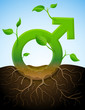 Growing male symbol like plant with leaves and roots in ground