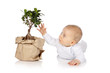 Baby greift nach kleinem Baum - Baby with little tree