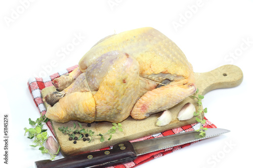 Photo: pintade pintade