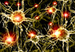 Illustration of a nerve cell