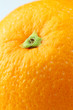 orange peel close up