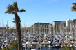 Sailboats moored in the harbor