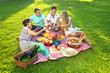 Friends having a picnic