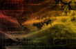 Digital Identity Management