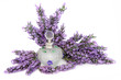 Photo: Lavender Flower Scent Lavender Flower Scent