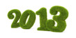 Illustration: Current year. Grassy digits Current year. Grassy digits
