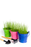 Gardening tools and colored buckets with grass