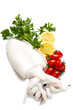 fresh cuttlefish