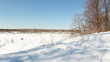 Man on snowmobile in winter