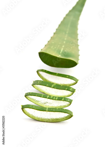 Photo: Green Aloe Vera Leaves Isolated Green Aloe Vera Leaves Isolated