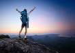Hiker