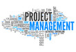 Word Cloud "Project Management"