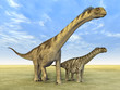 Illustration: Dinosaurier Camarasaurus Dinosaurier Camarasaurus