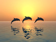 Jumping Dolphins