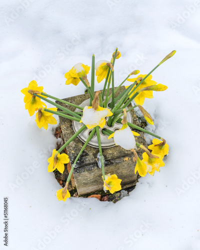 Photo: grave grave