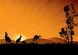 Australian animals