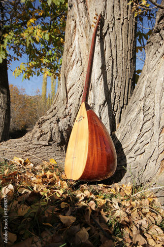 Photo: Turkish instrument Turkish instrument