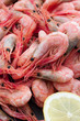Foto: Fresh Shrimps Fresh Shrimps