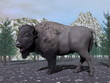 Bison in the nature - 3D render