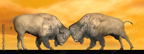 Illustration: Bison fight - 3D render Bison fight - 3D render