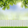 white fence