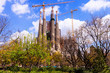 Basilica and Expiatory Church of the Holy Family  in Barcelona