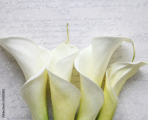 Photo: four calla lilies on textured script four calla lilies on textured script