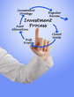 Investment process