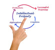 Intellectual property diagram