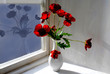 Mohnblumen am Fenster