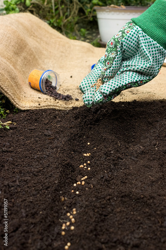 Photo: sowing sowing