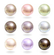 Vector: Shinyl pearls. Shinyl pearls.
