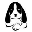 Vector image of an dog on white background