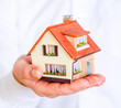 house in human hands