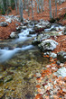 Monti Picentini, torrente