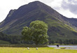 Lake Buttermere, English Lake District.
