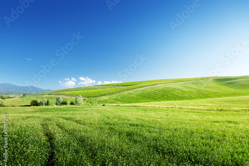 Photo: hills in sunny day Tuscany, Italy hills in sunny day Tuscany, Italy